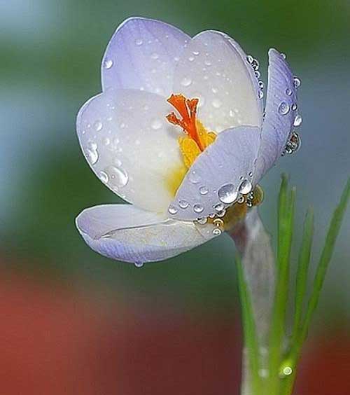 જ્ઞાન કોને કહેવું ?