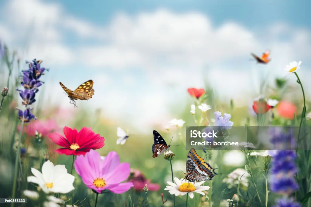 શેનું સ્મરણ રાખવું?